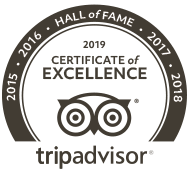 2019 Certificate of Excellence Hall of Fame Award